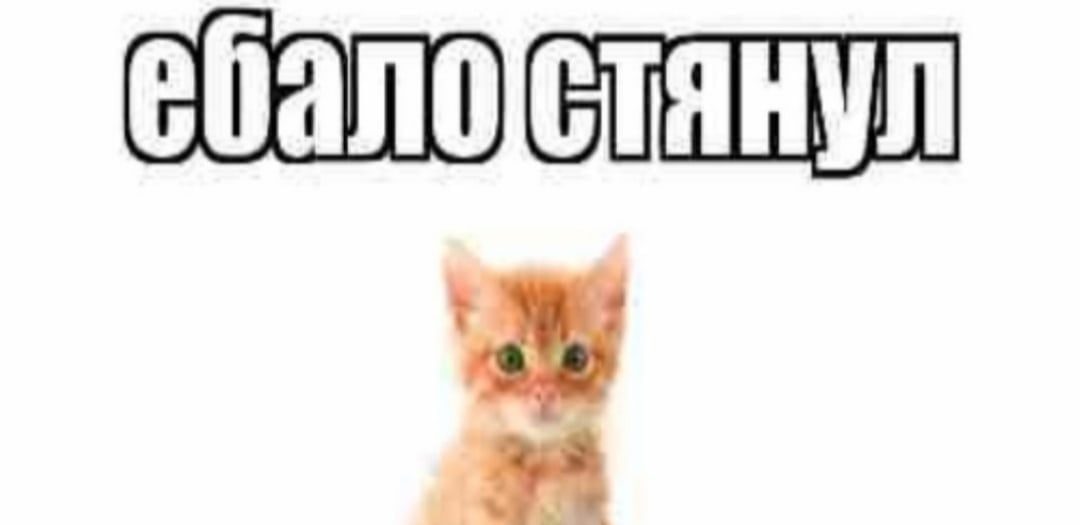 Равных нет