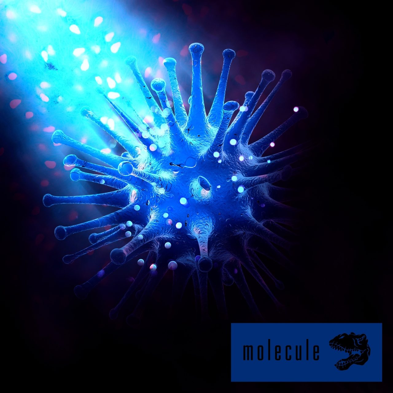 Molecule VIP