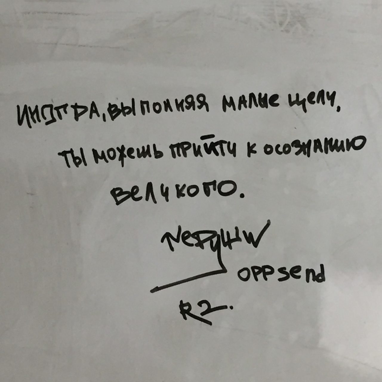 OPP SEND