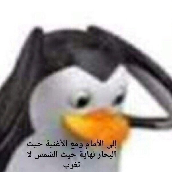 B2G