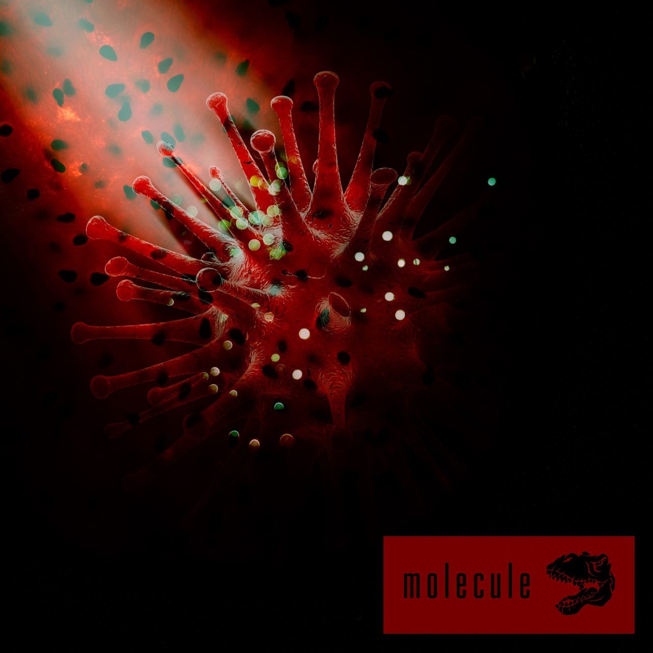 Molecule