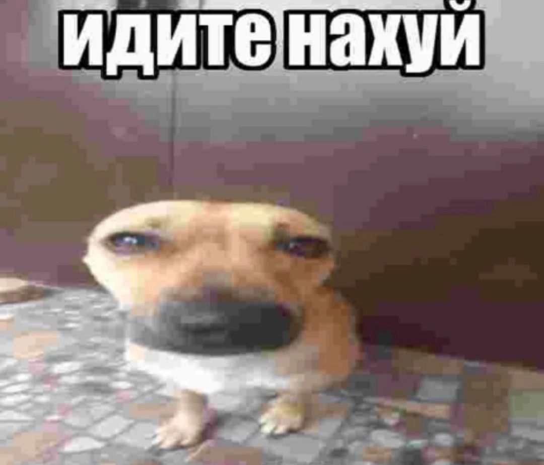 равных нет