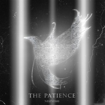 The Patience