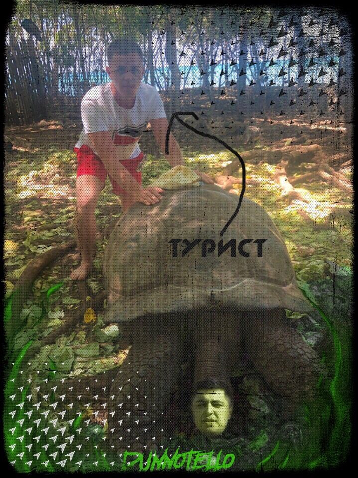 Признаки туриста