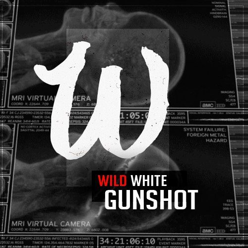 #Gunshot