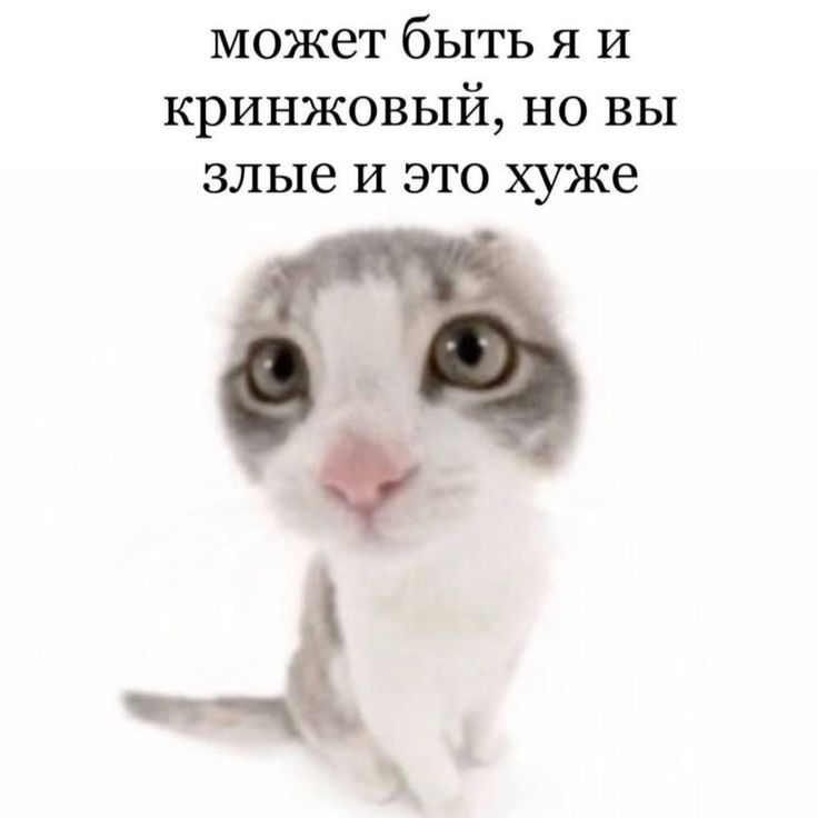 Закупил