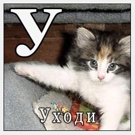 Вскрытие Покажет