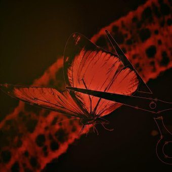 CATERPILLAR FREESTYLE
