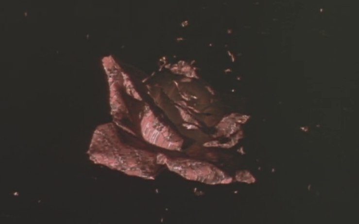 Magnetic Rose (demo)
