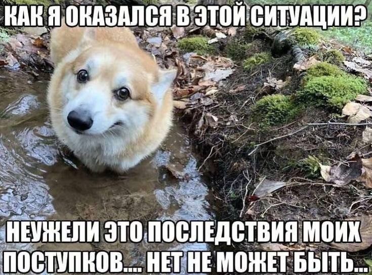 ya